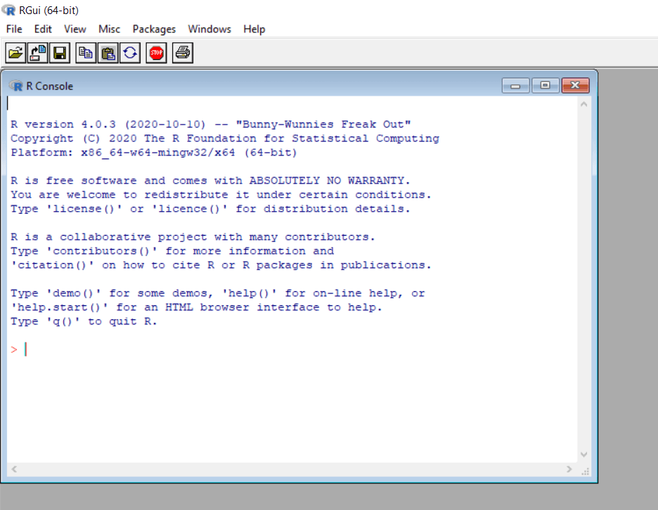 R console