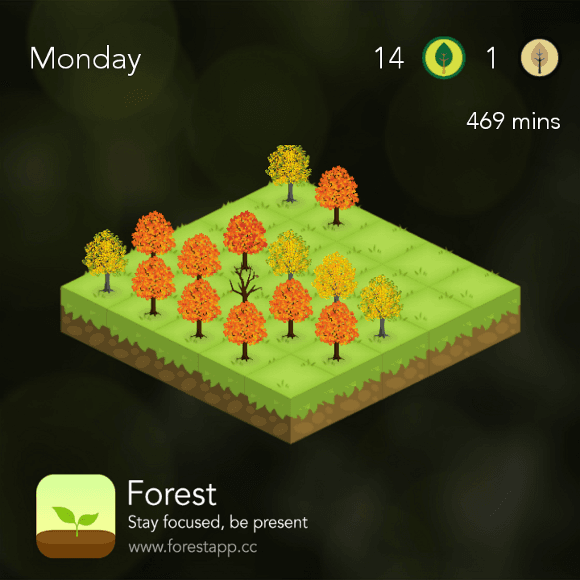 forest app