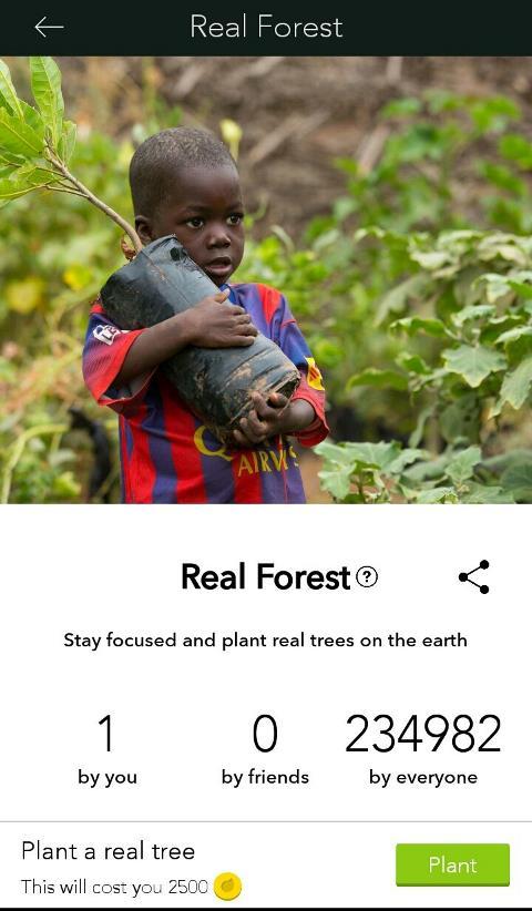 real forest